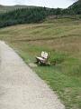 N - Bench